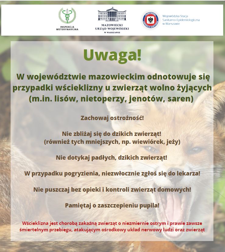 Kolejne przypadki wścieklizny u zwierząt wolno żyjących na terenie województwa mazowieckiego