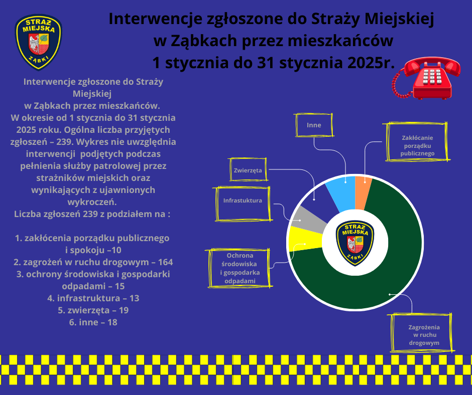 Interwencje Styczeń 2025